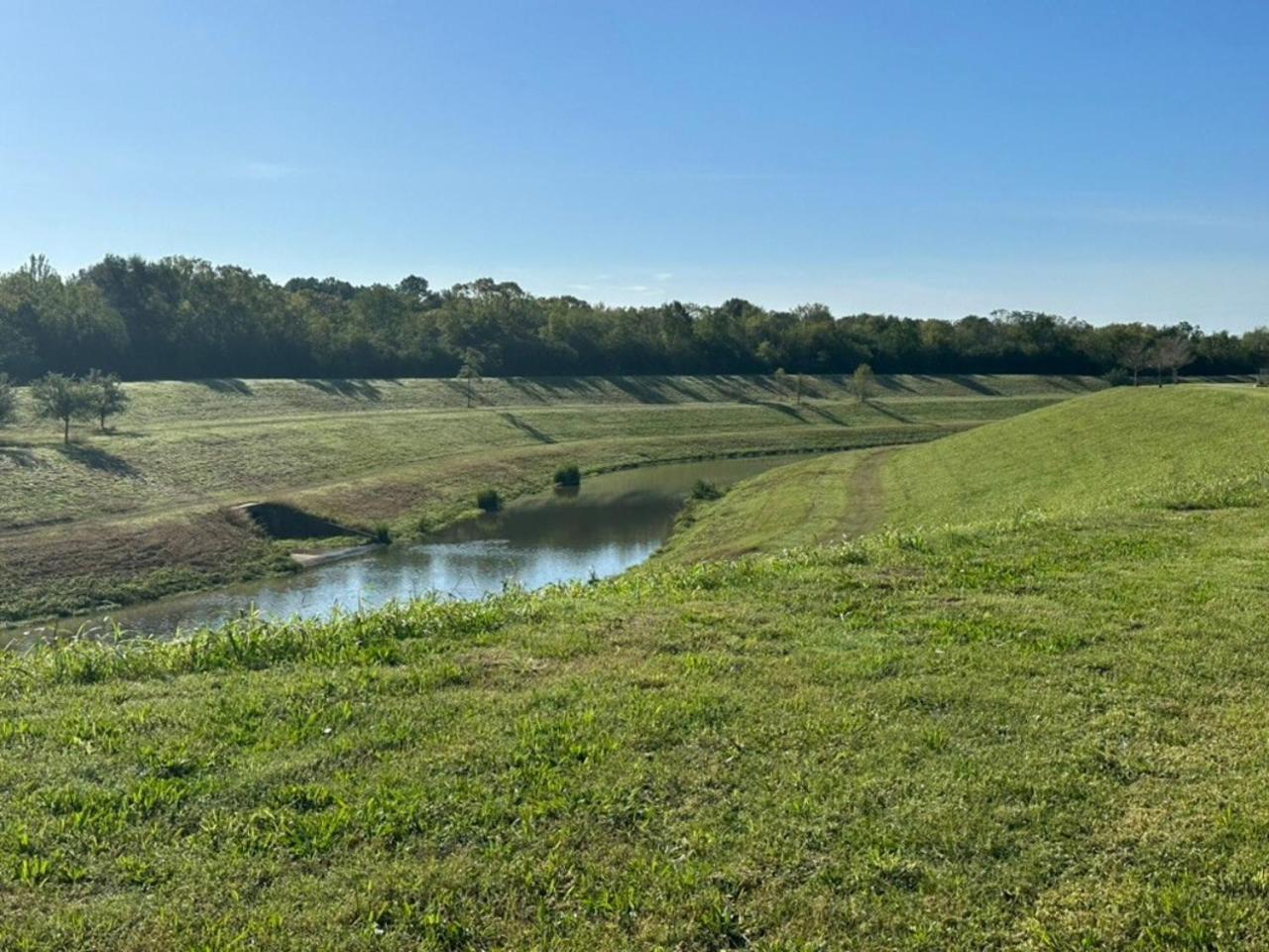 Cozy Gorgeous 1 Bd Loft Close To Nature! Lejlighed Houston Eksteriør billede